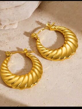 Twisted Gold plated Hoop Earrings for Women